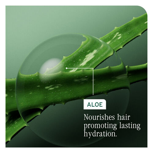 HydraSource Daily Leave-In Cream - New Biolage | L'Oréal Partner Shop