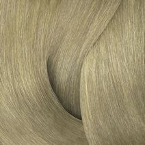 Color Gels 10Na Snow Queen - Redken Color Color Gels 10Na Snow Queen - Redken Color | L'Oréal Partner Shop