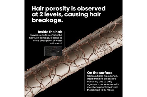 Metal Detox Pre-Shampoo Treatment - ⭐ Metal Detox | L'Oréal Partner Shop