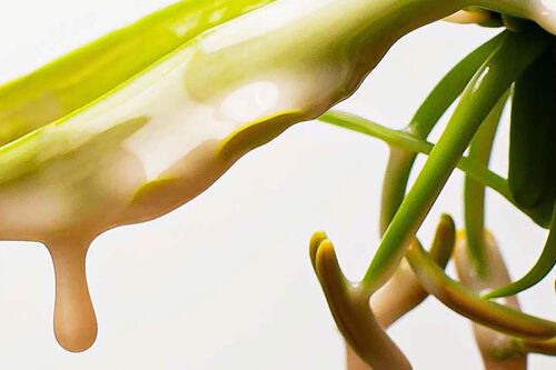 Nanoworks Gold Shampoo - Pureology GWP Promotion | L'Oréal Partner Shop