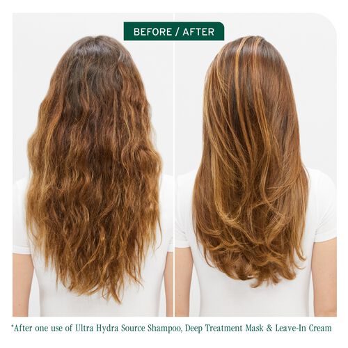 Ultra Hydra Source Daily Leave-In Cream - New Biolage | L'Oréal Partner Shop