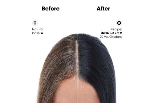 iNOA 10 Lightest Blonde - L'Oréal Professionnel Colour | L'Oréal Partner Shop