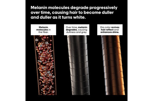 Dia Color 6.23 - Dia | L'Oréal Partner Shop