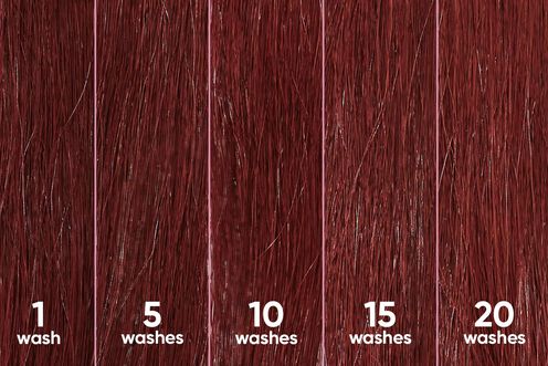 ColorLast Shampoo - Matrix and Biolage Litres | L'Oréal Partner Shop